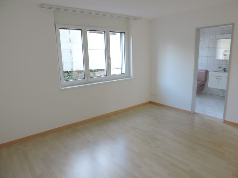 Sonnige 4.5 Zimmer-Wohnung (8)