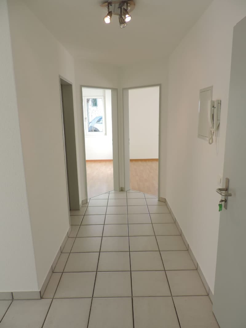 Sonnige 4.5 Zimmer-Wohnung (5)