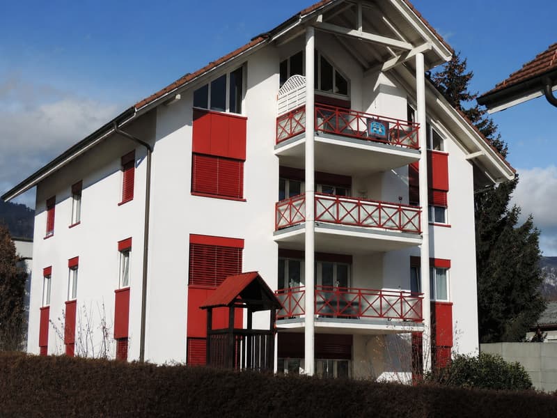 Sonnige 4.5 Zimmer-Wohnung (1)