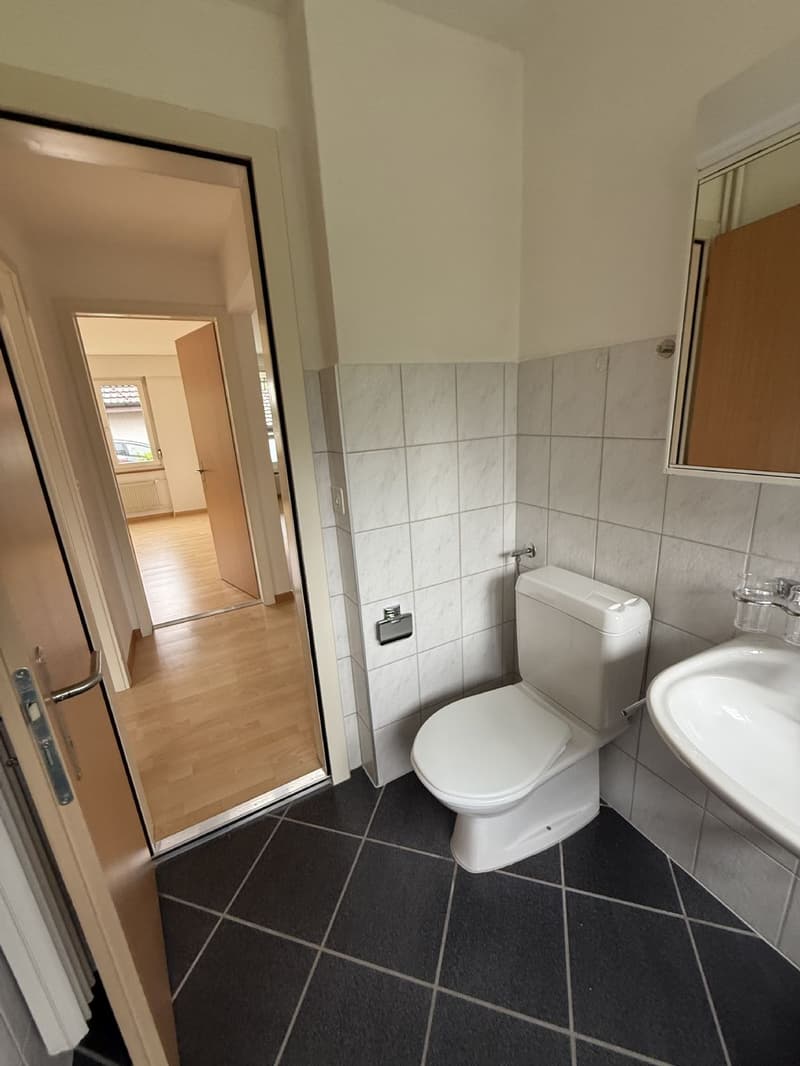 3-room apartment / Looking for a temporary solution? Rent until spring 2027. (7)