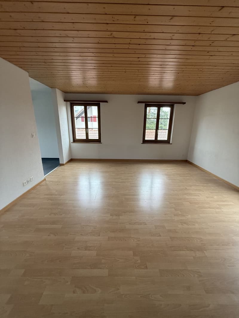 4.5-room apartment / Looking for a temporary solution? Rent until spring 2027. (5)