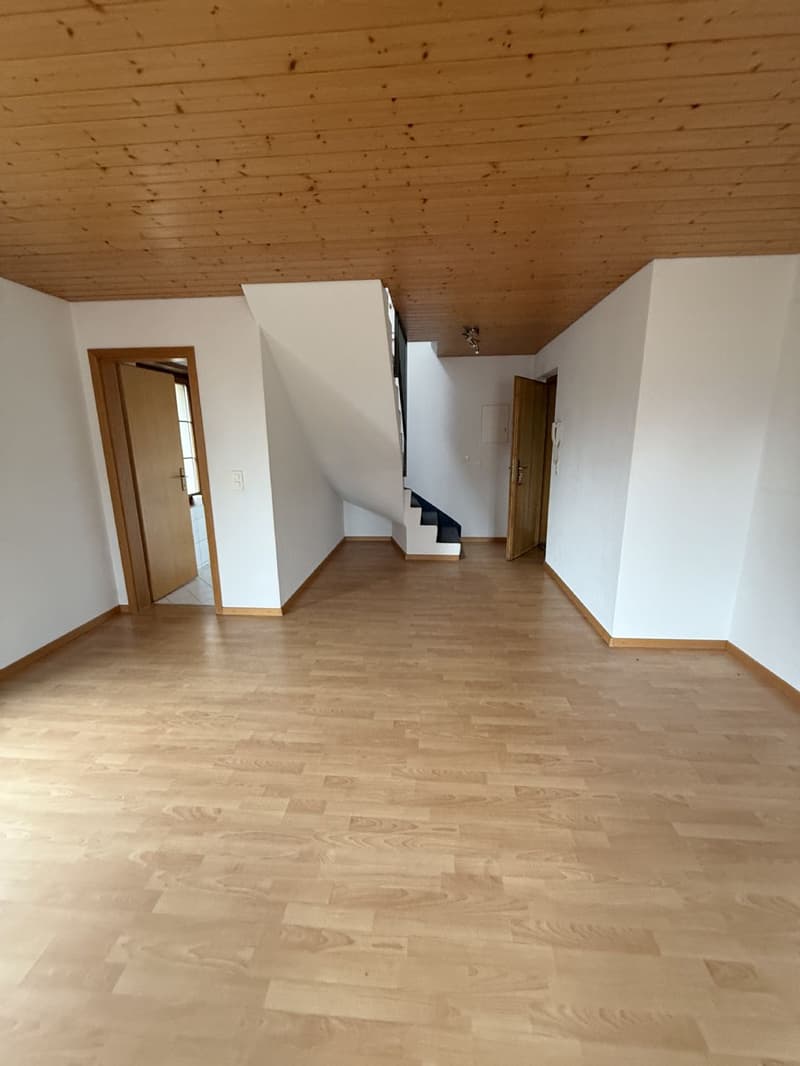 4.5-room apartment / Looking for a temporary solution? Rent until spring 2027. (4)