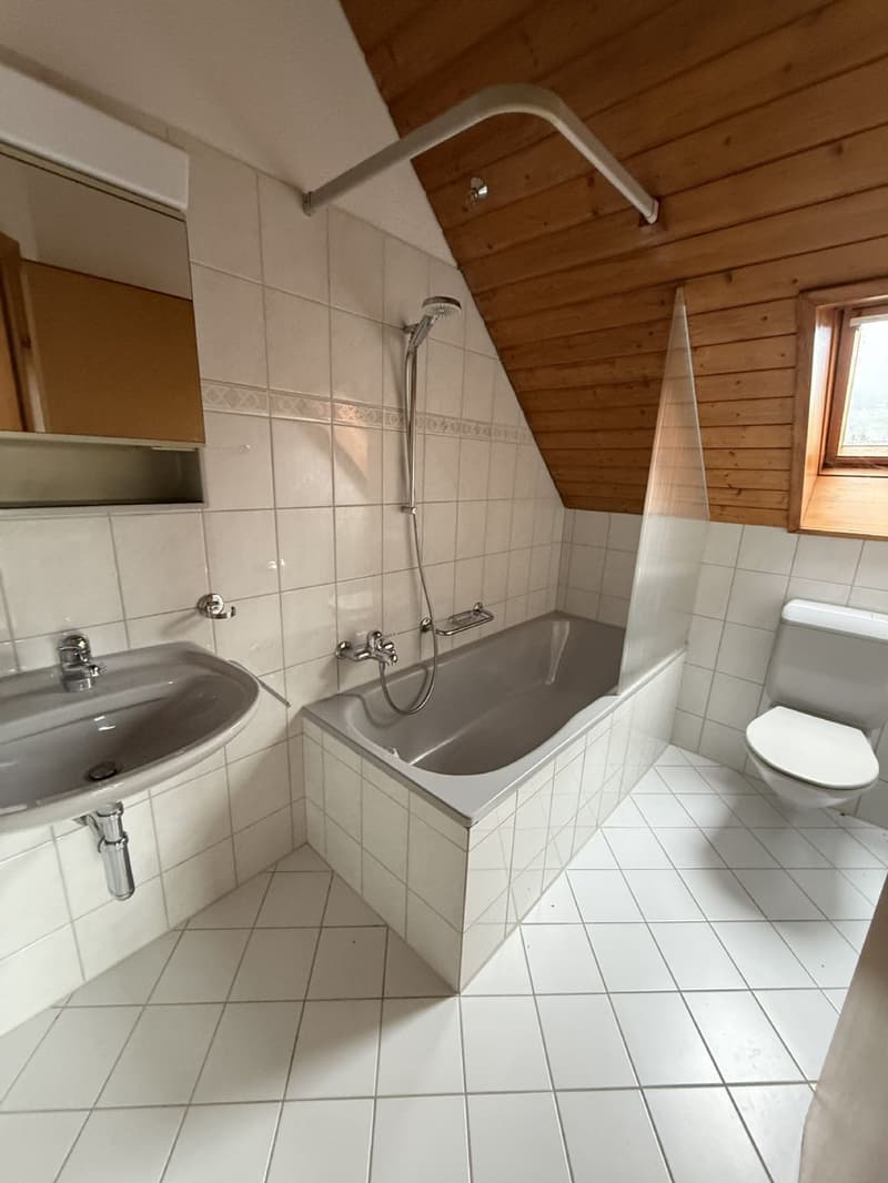 4.5-room apartment / Looking for a temporary solution? Rent until spring 2027. (7)