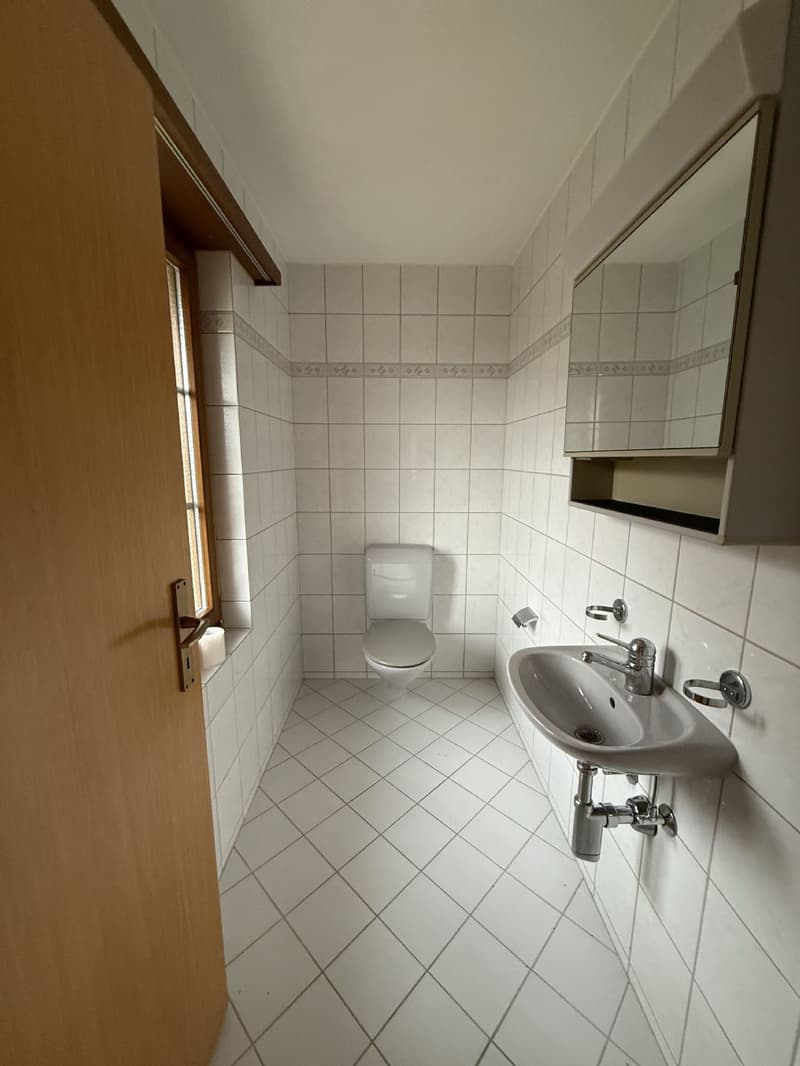 4.5-room apartment / Looking for a temporary solution? Rent until spring 2027. (6)