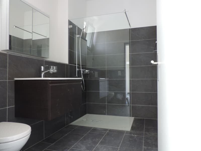 Bel appartement 2.5 pièces au 1er étage (5)
