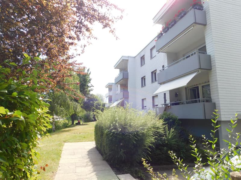 Votre nouvelle maison ! (1)