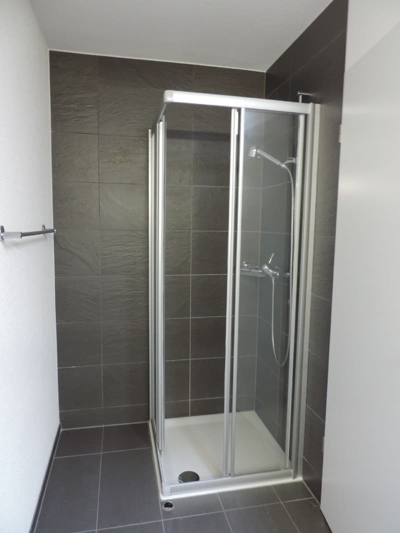 Appartement en attique de 3,5 pièces idéalement situé (11)