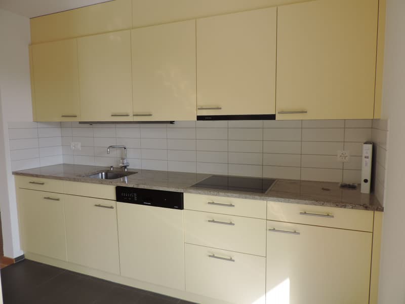 Appartement en attique de 3,5 pièces idéalement situé (8)