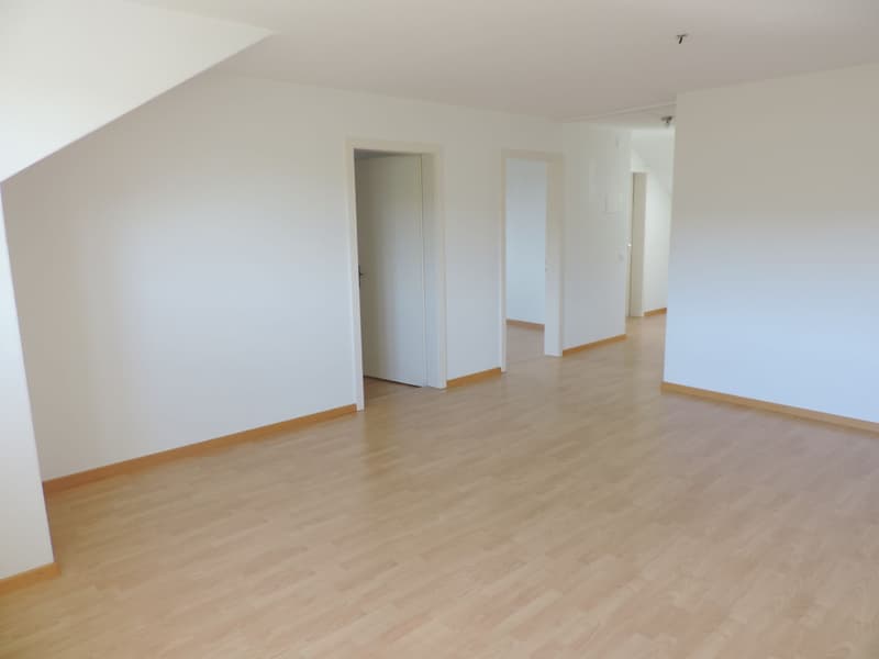 Charmant appartement 3.0 pièces en mansarde (3)