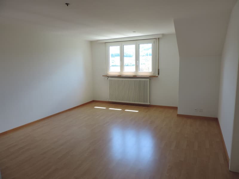 Charmant appartement 3.0 pièces en mansarde (5)