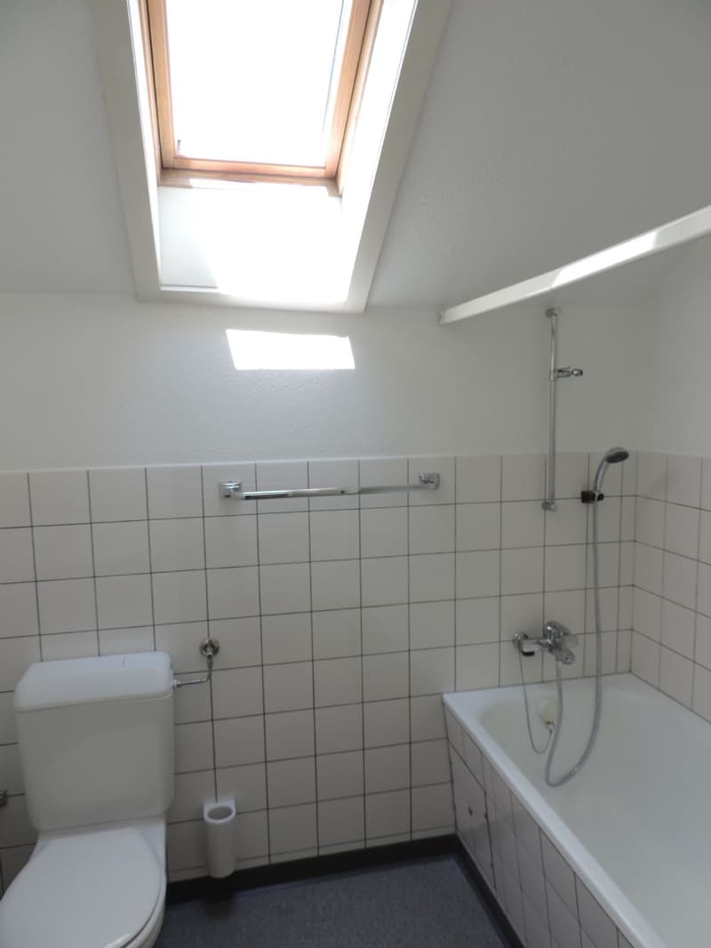 Charmant appartement 3.0 pièces en mansarde (8)