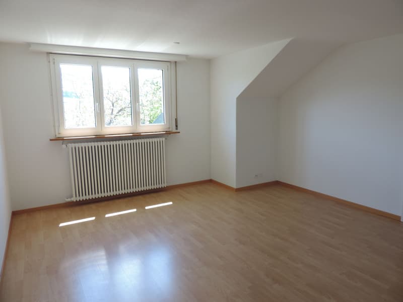 Charmant appartement 3.0 pièces en mansarde (2)