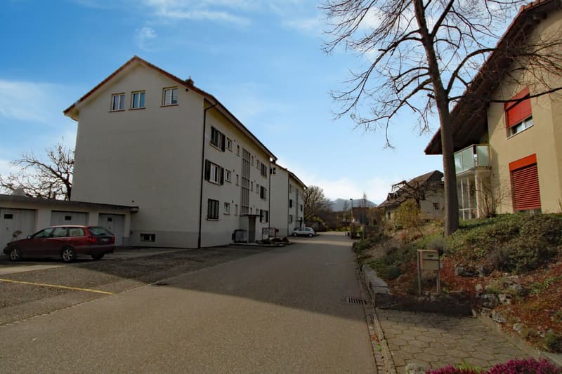 Charmant appartement 3.0 pièces en mansarde (1)