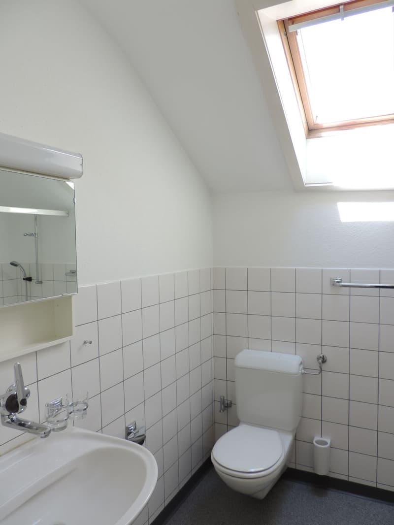 Charmant appartement 3.0 pièces en mansarde (9)