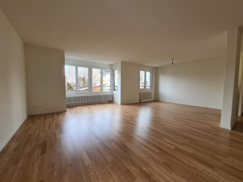 3.5 room apartment on the ground floor (4)