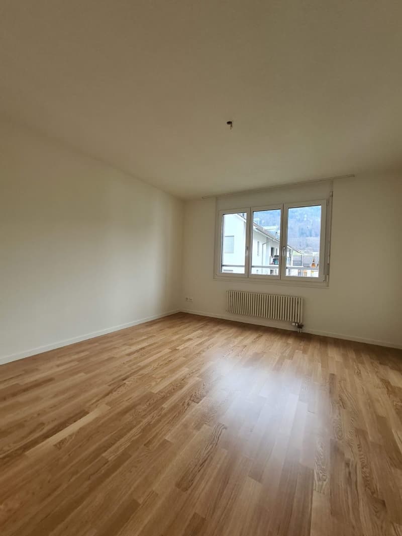 3.5 room apartment on the ground floor (5)