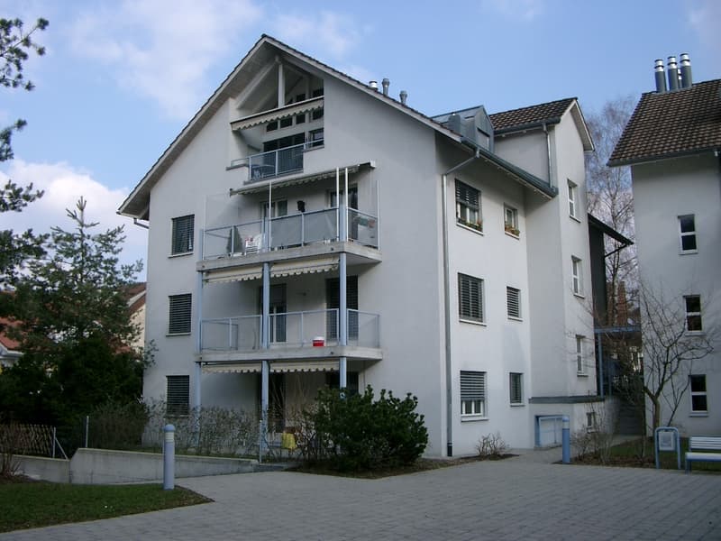 3.5 room apartment on the ground floor (1)