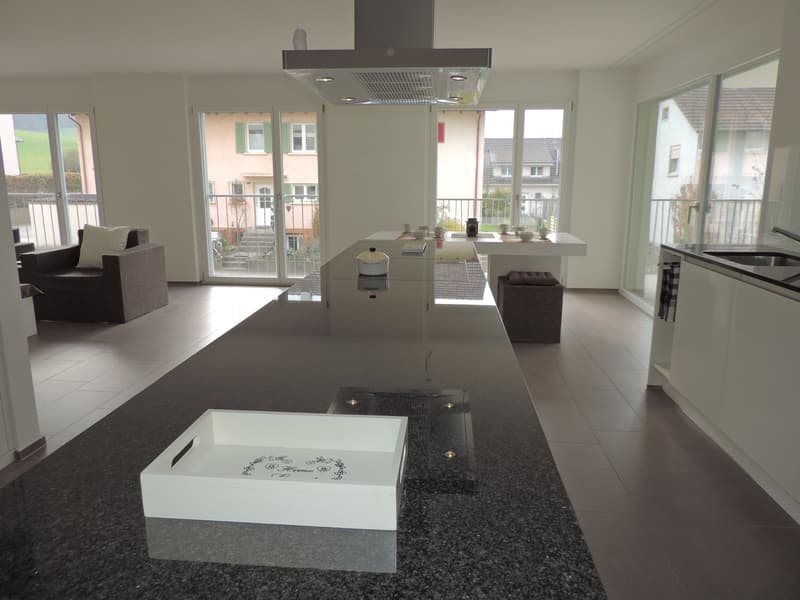Superbe appartement 4.5 pièces à Wangen b. Olten (5)