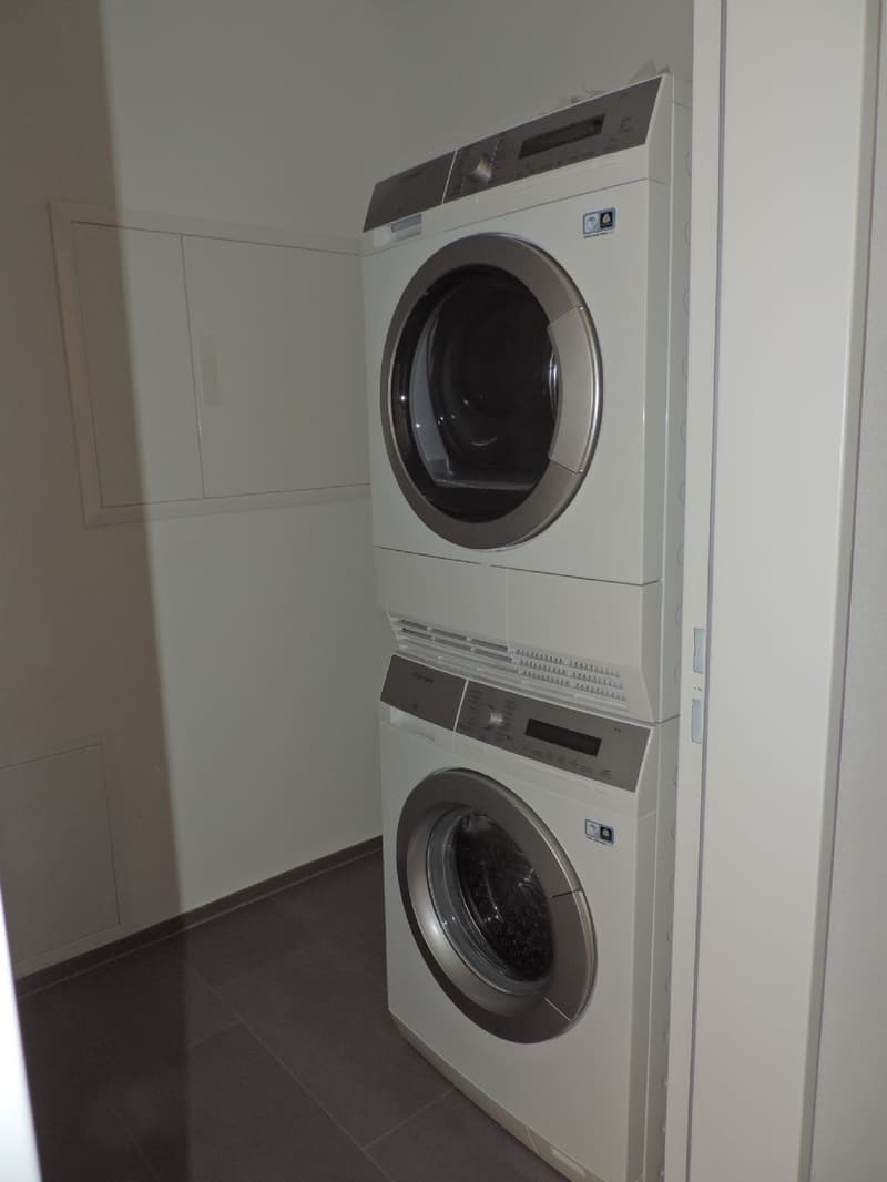 Superbe appartement 4.5 pièces à Wangen b. Olten (12)