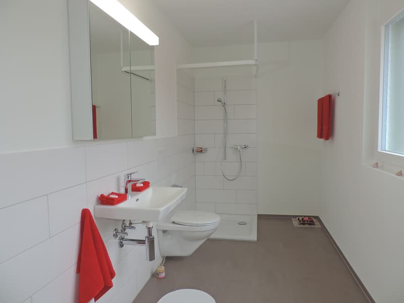 Superbe appartement 4.5 pièces à Wangen b. Olten (10)