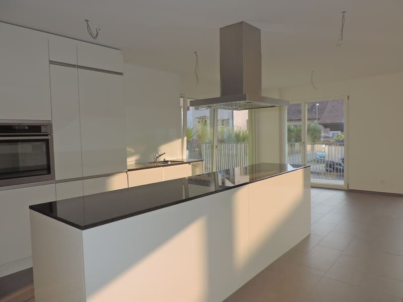 Superbe appartement 4.5 pièces à Wangen b. Olten (13)