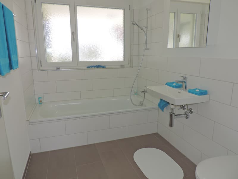 Superbe appartement 4.5 pièces à Wangen b. Olten (11)