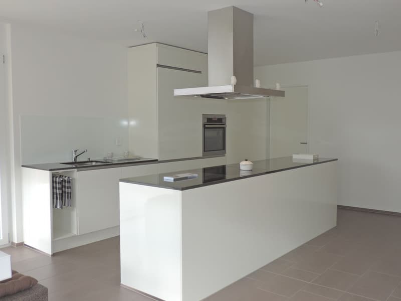 Superbe appartement 4.5 pièces à Wangen b. Olten (3)