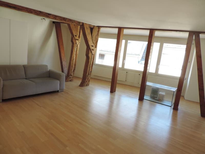 1.5-room apartment with charm in the heart of Olten (3)