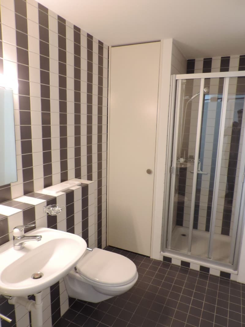 1.5-room apartment with charm in the heart of Olten (7)