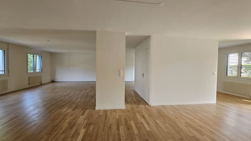 Stilvolle Loftwohnung in zentraler Lage (3)