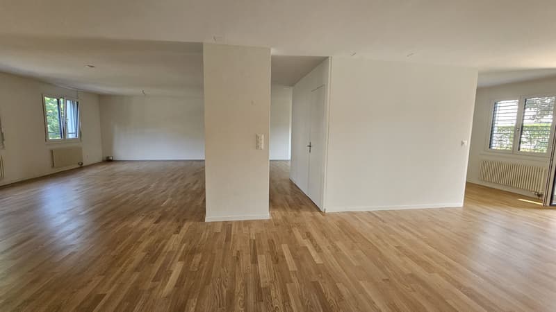 Stilvolle Loftwohnung in zentraler Lage (4)