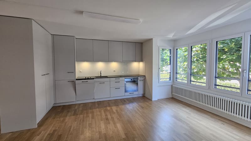 Stilvolle Loftwohnung in zentraler Lage (2)