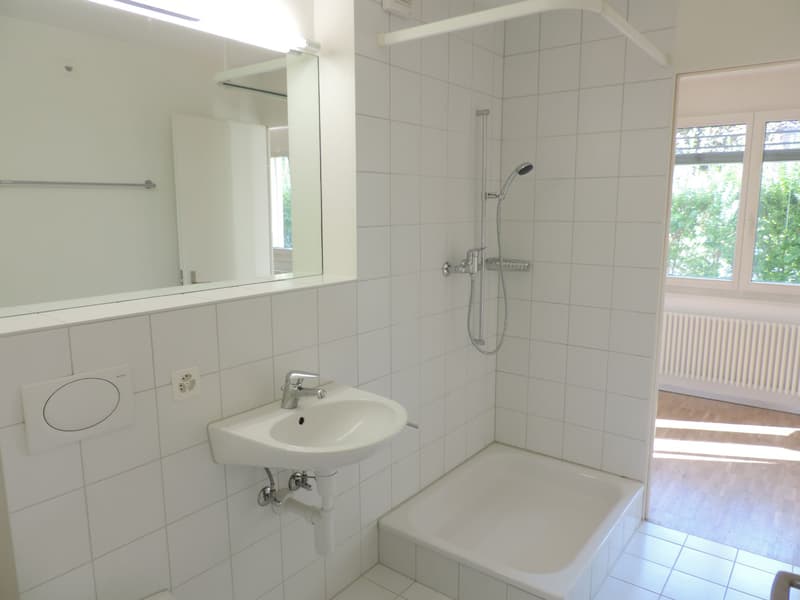 Stilvolle Loftwohnung in zentraler Lage (7)