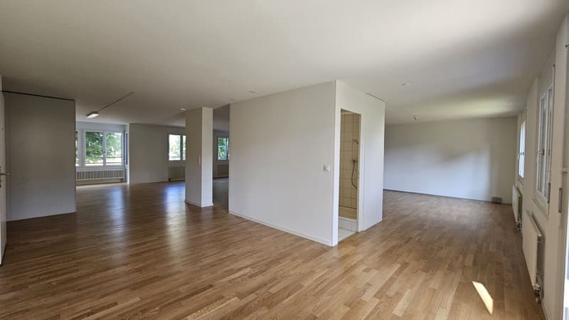 Stilvolle Loftwohnung in zentraler Lage (6)