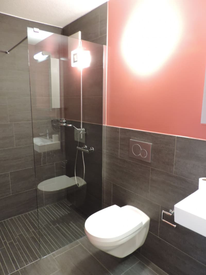 Tolle 4.5-Zimmer-Wohnung im Erdgeschoss (8)