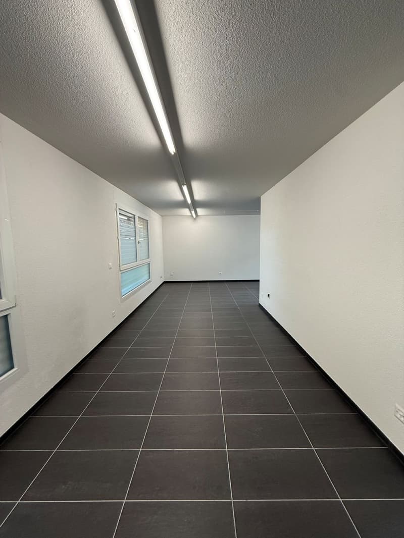 Modernes Gewerbeobjekt sucht neuen Mieter! (3)