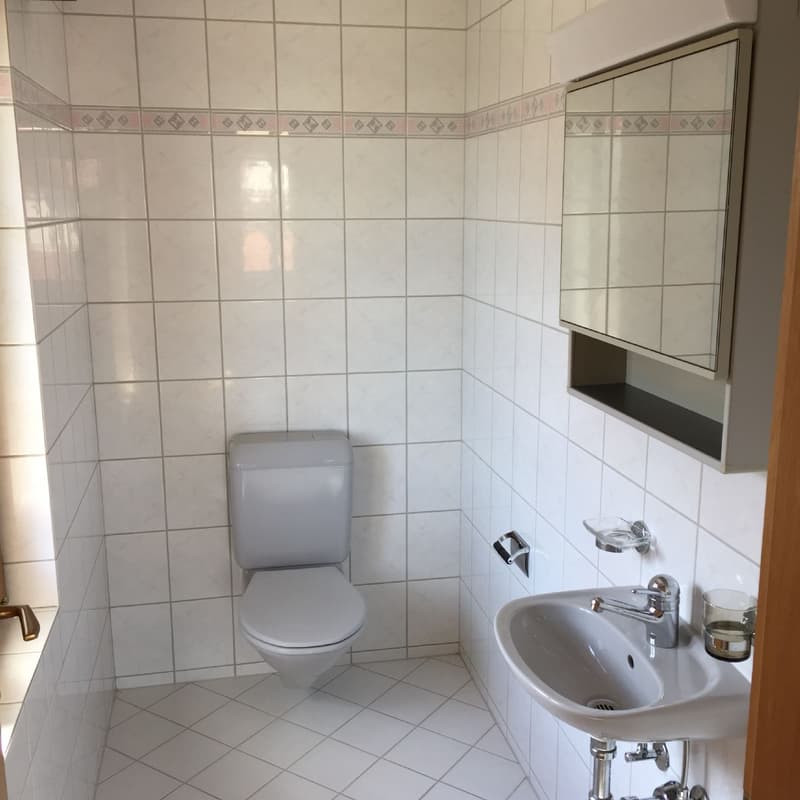 4.5-ZWG / Suchen Sie eine Übergangslösung? (8)