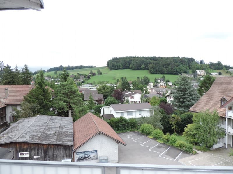 Attika sucht neuen Mieter (12)