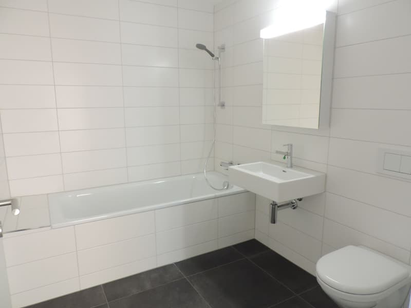 Hier endet Ihre Wohnungssuche! (9)