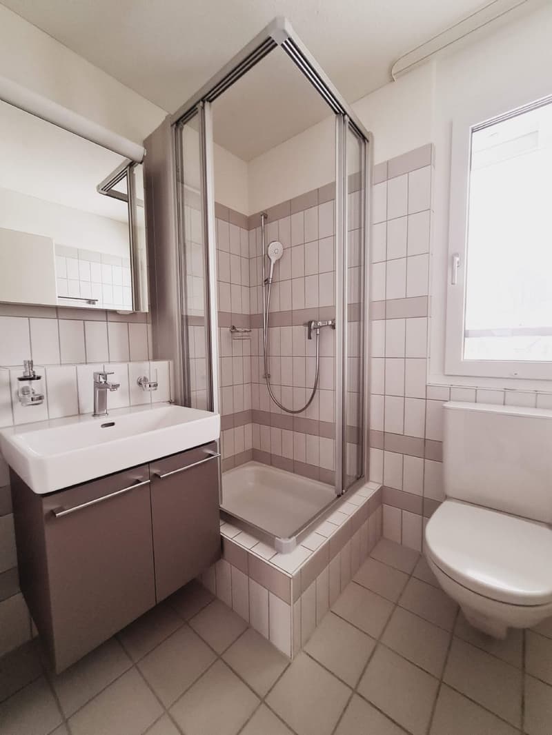 Tolle 4.5 Zimmerwohnung (5)
