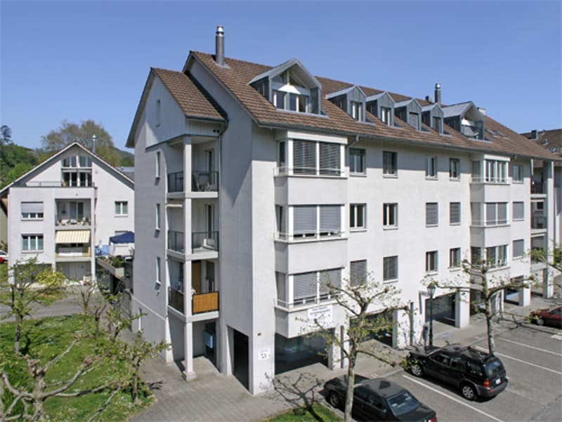 Tolle 4.5 Zimmerwohnung (1)