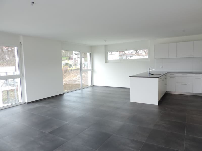 Tolle Attika-Wohnung (4)