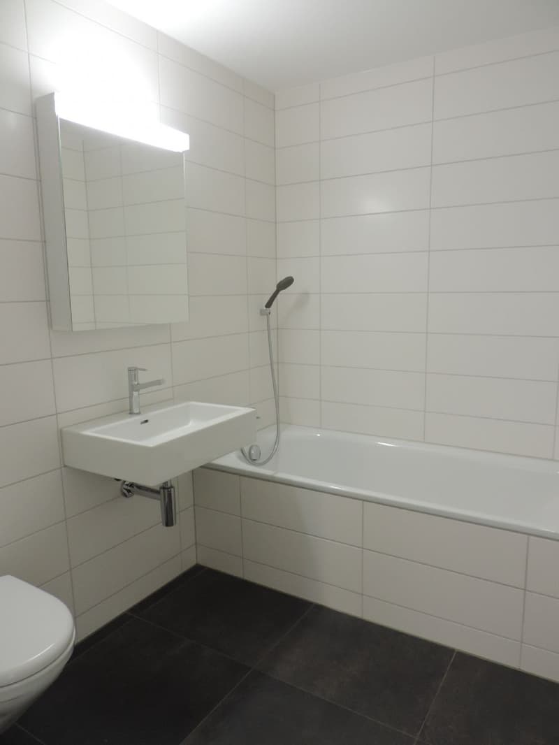 Tolle Attika-Wohnung (7)