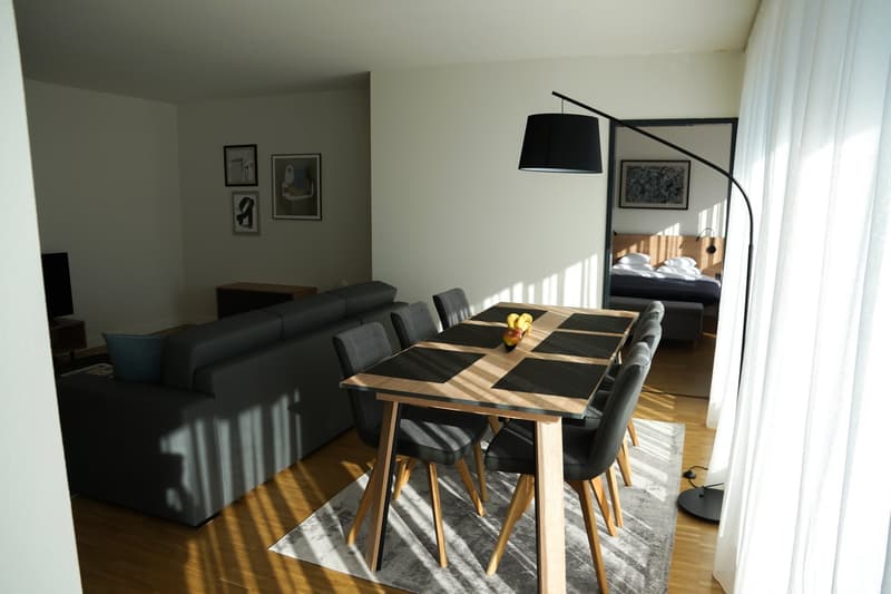 Exklusive möblierte 3.5 Zimmer Stadtwohnung nahe Bahnhof Zug (5)
