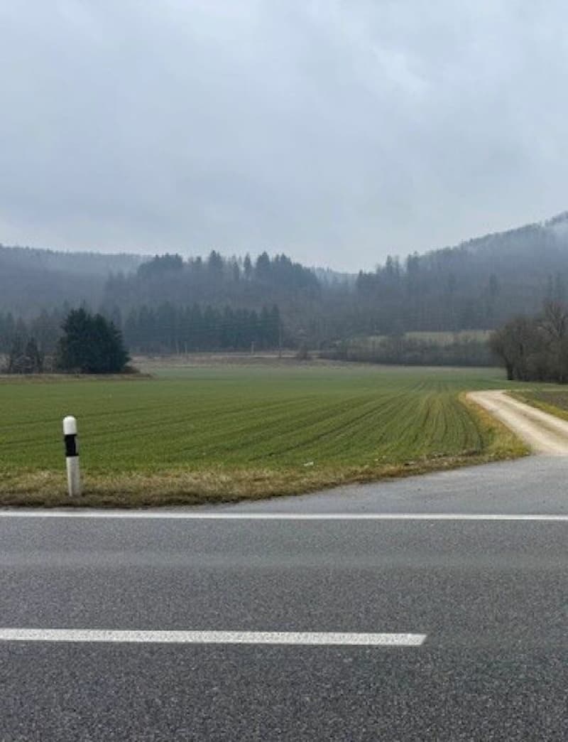 Bauland in der Industriezone in Bad Zurzach (7)