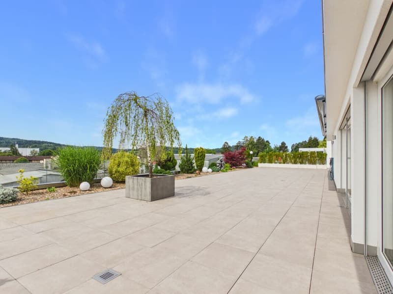 Sehr gepflegte, neuwertige Attika-Wohnung mit div. Extras wie Riesen-Terrasse, Lift mit direktem Zugang in die Wohnung, übergrossen Parkplätzen usw. (21)