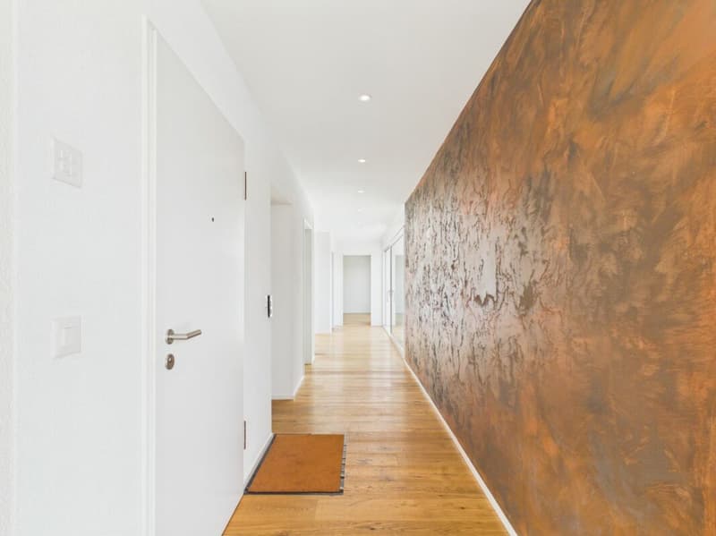 Sehr gepflegte, neuwertige Attika-Wohnung mit div. Extras wie Riesen-Terrasse, Lift mit direktem Zugang in die Wohnung, übergrossen Parkplätzen usw. (31)