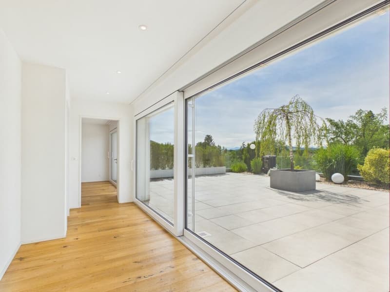 Sehr gepflegte, neuwertige Attika-Wohnung mit div. Extras wie Riesen-Terrasse, Lift mit direktem Zugang in die Wohnung, übergrossen Parkplätzen usw. (35)