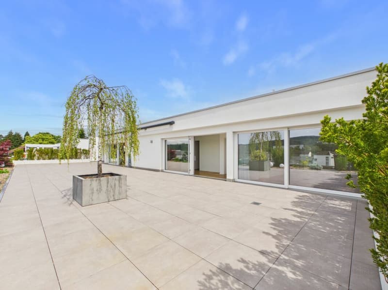 Attika-Wohnung mit div. Extras wie sehr grosszügiger Terrasse, Lift mit direktem Zugang in die Wohnung, übergrossen Parkplätzen usw. (6)