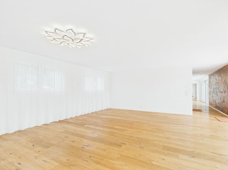 Attika-Wohnung mit div. Extras wie sehr grosszügiger Terrasse, Lift mit direktem Zugang in die Wohnung, übergrossen Parkplätzen usw. (20)